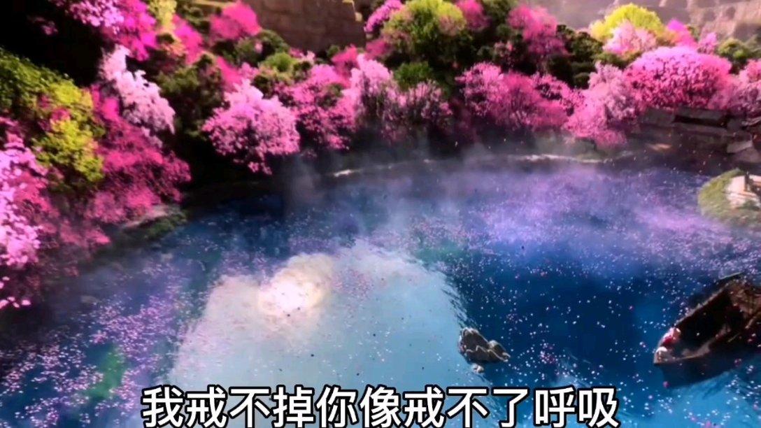 上海游客在沈阳早市被骗，管理员帅气撑腰
